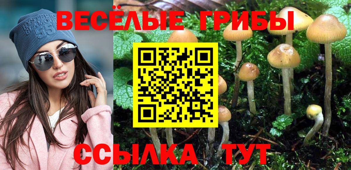 Галлюциногенные грибы Psilocybine cubensis Уссурийск