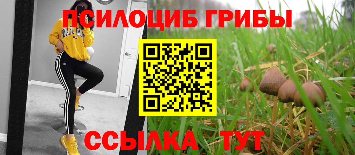 Уссурийск  Галлюциногенные грибы Magic Shrooms  Вход с VPN  Галлюциногенные грибы ЛСД 