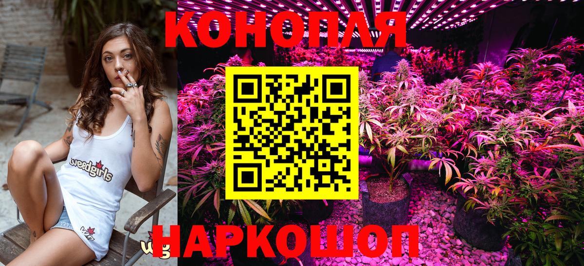 Канабис OG Kush Уссурийск